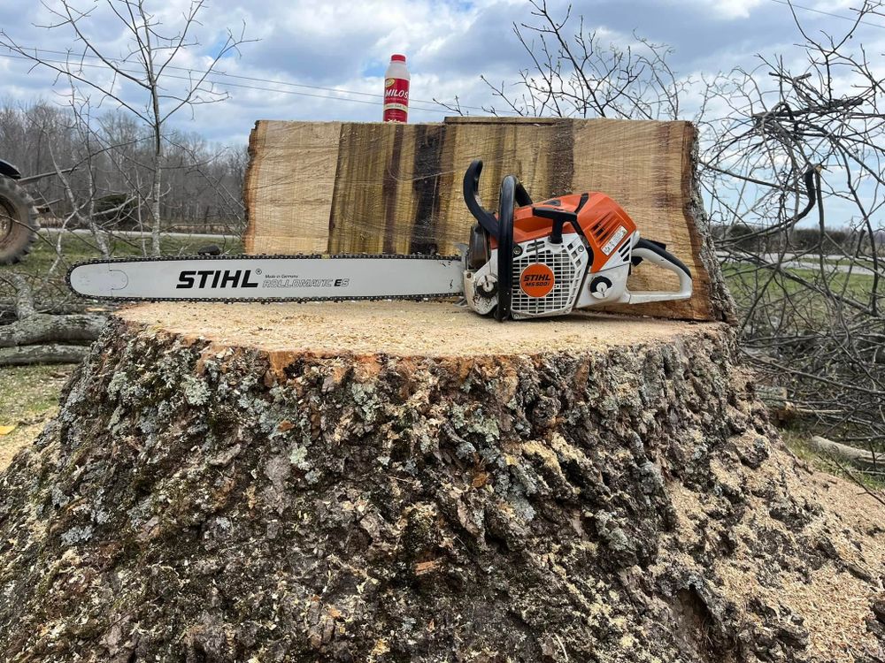 Enhance your landscape's beauty and health with our expert tree trimming service, designed to promote growth, improve aesthetics, and ensure safety by professionally shaping and maintaining your trees year-round. for Green Brothers Tree Services in Blacksburg, Virginia