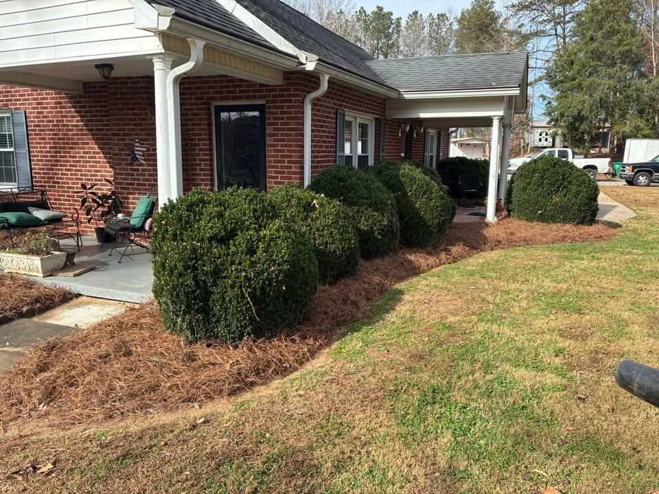 All Photos for Palmetto State Landscaping in Gaffney, SC