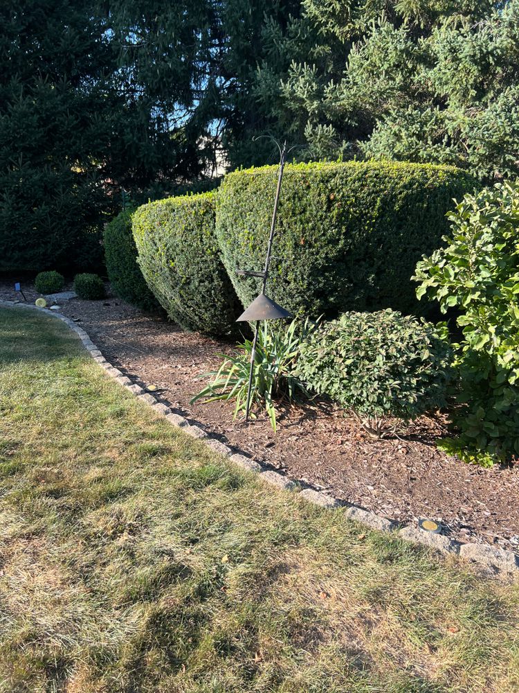 Landscaping for Trim Seasonal Services in Milwaukee, WI