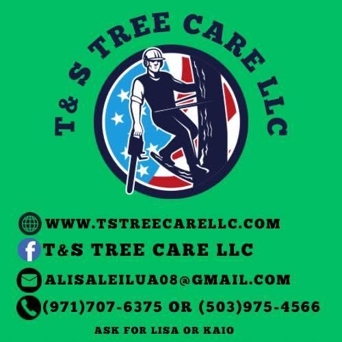 All Photos for T&S Tree Care LLC in Portland, OR