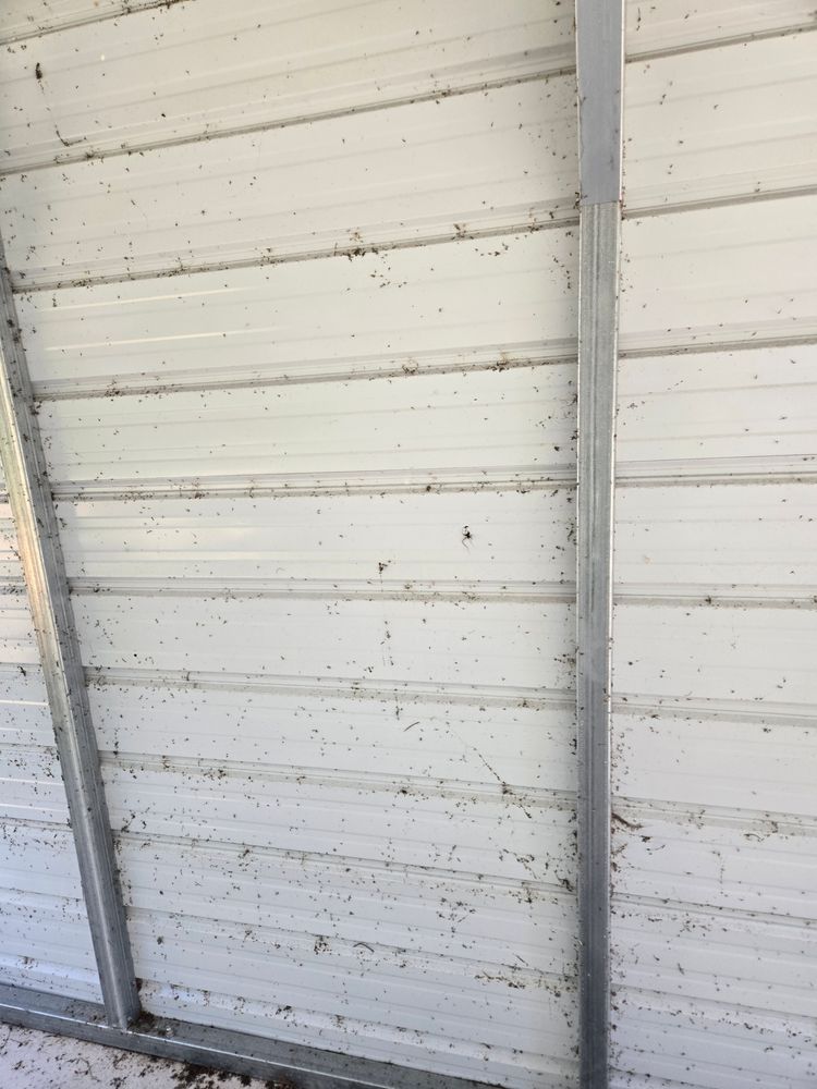All Photos for Above the Lawn Cuts and Pressure Washing in Sebring, FL
