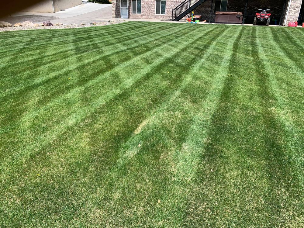 All Photos for Platinum Lawn Service in Santaquin, UT