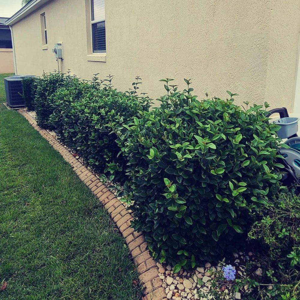 All Photos for TopNotch Landscaping Services  in The Villages, FL