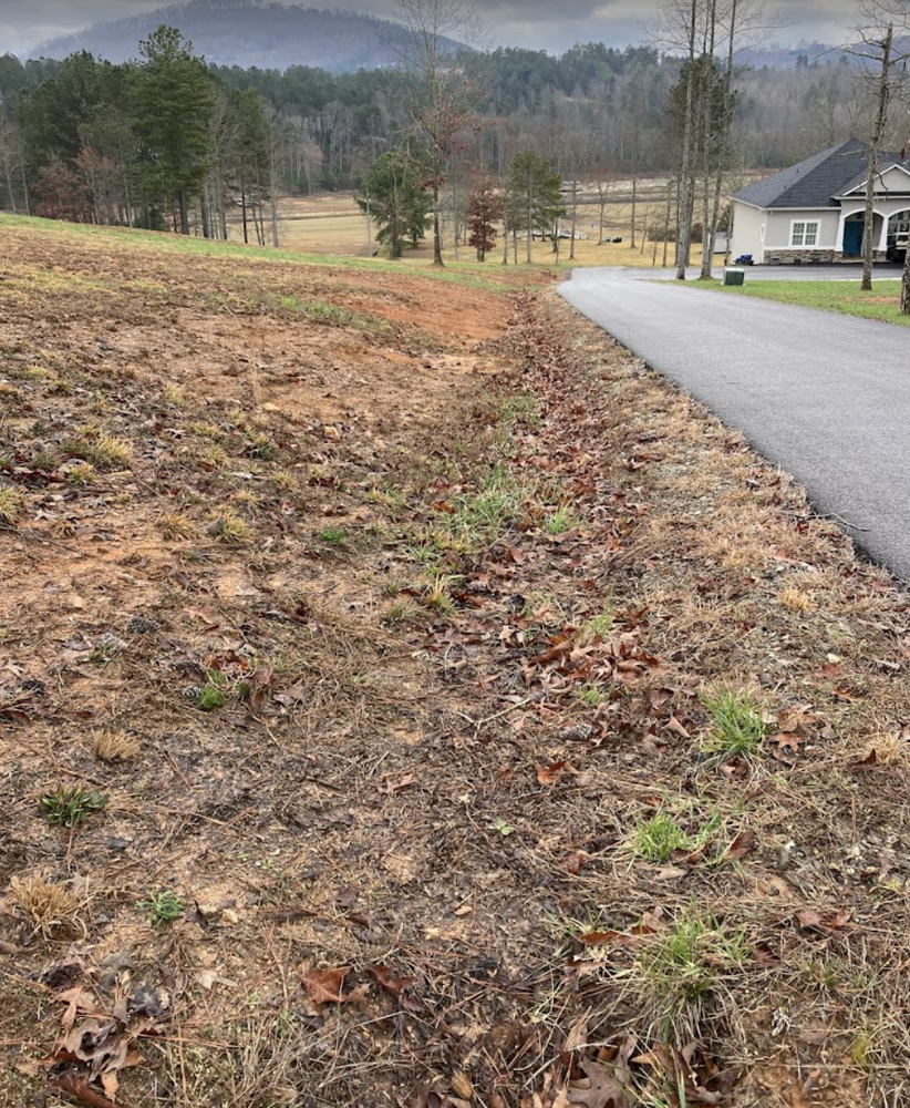 Land Clearing for Gibson Grade Works in Towns County, GA