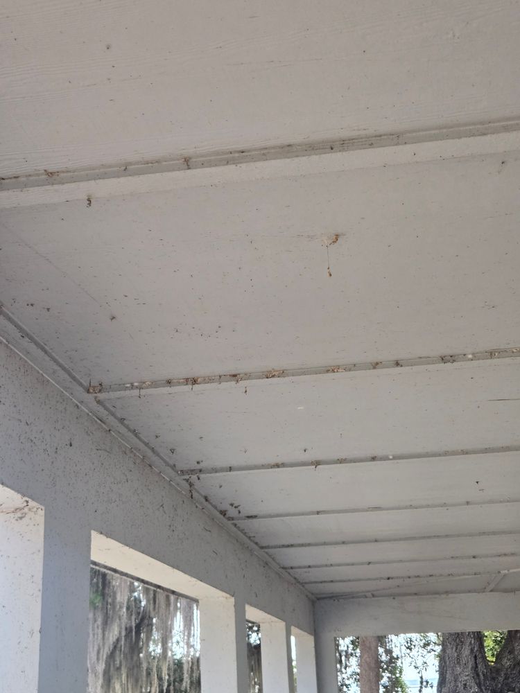 All Photos for Above the Lawn Cuts and Pressure Washing in Sebring, FL