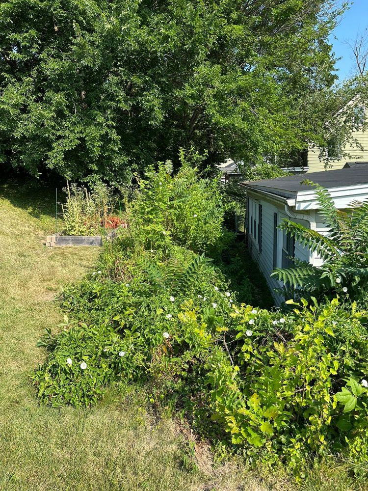 Tree Removal for Greenlee & Family Landscaping Services in Peoria, IL