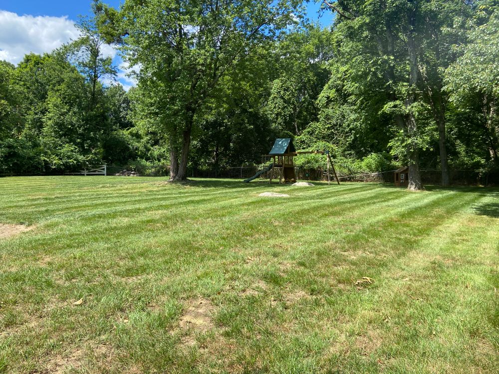 Lawn Maintenance  for Ace Landscaping in Trumbull, CT