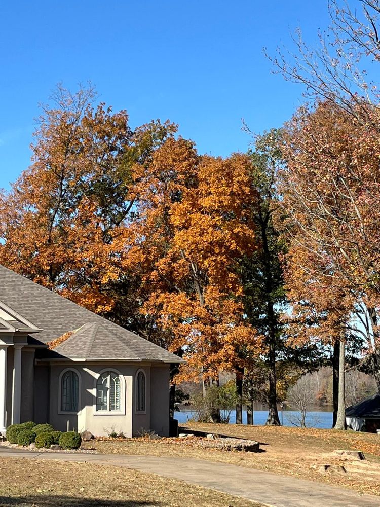 All Photos for Curtis Tree Service LLC in Hopkins County, KY