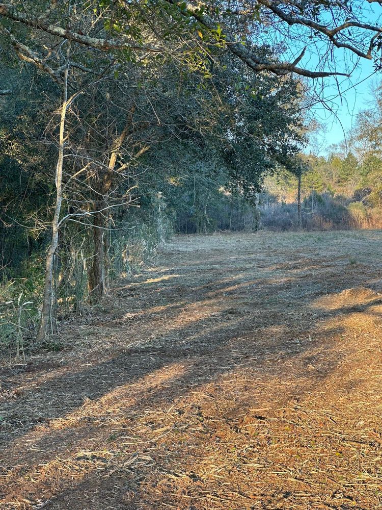 All Photos for White’s Land Maintenance in Milton,, FL
