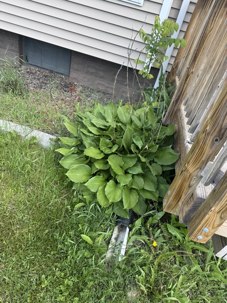 Landscaping Lawn Care for Daugherty's Tough Lawn Care in Essexville, MI