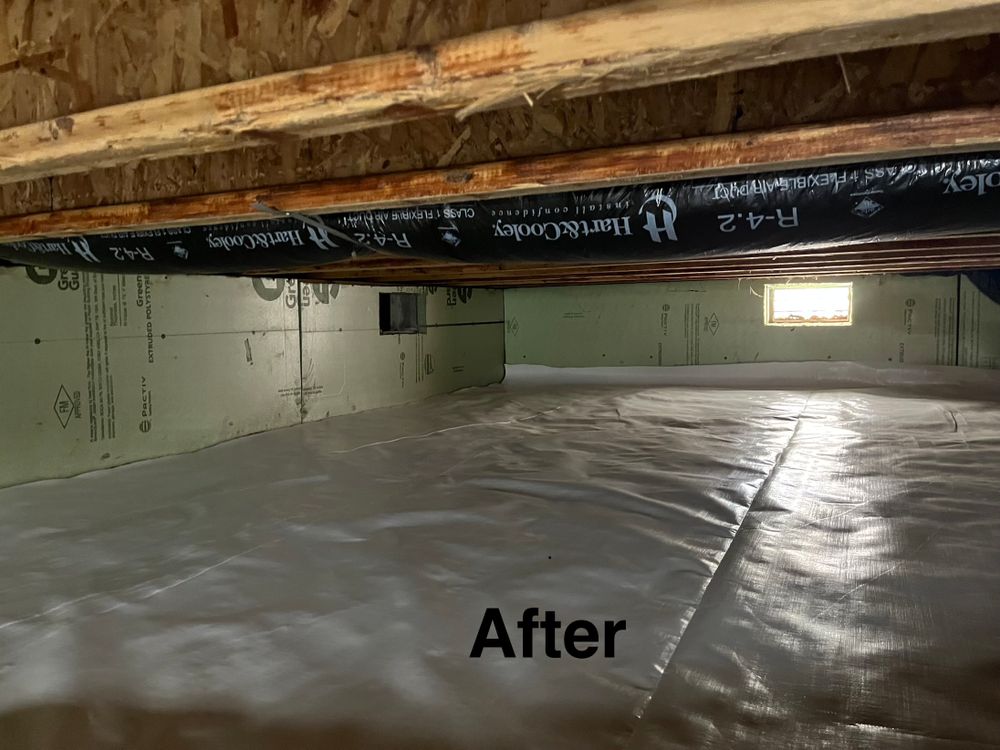 Crawlspace/Attic Renovation  for All-In Pest Control & Home Solutions in Greene County, IN