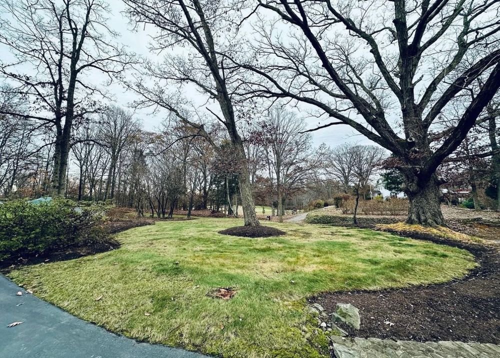 All Photos for Nate's Property Maintenance LLC  in Lusby, MD