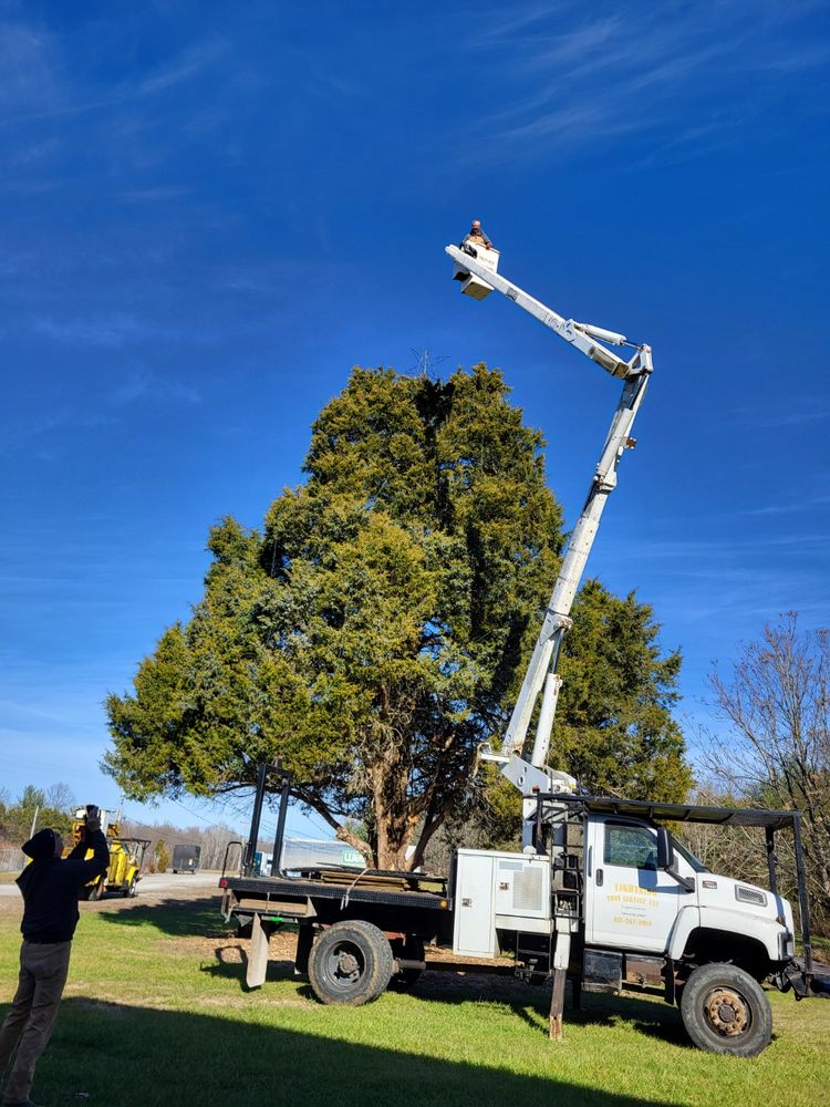 All Photos for Lightning Tree Service in Corydon, IN