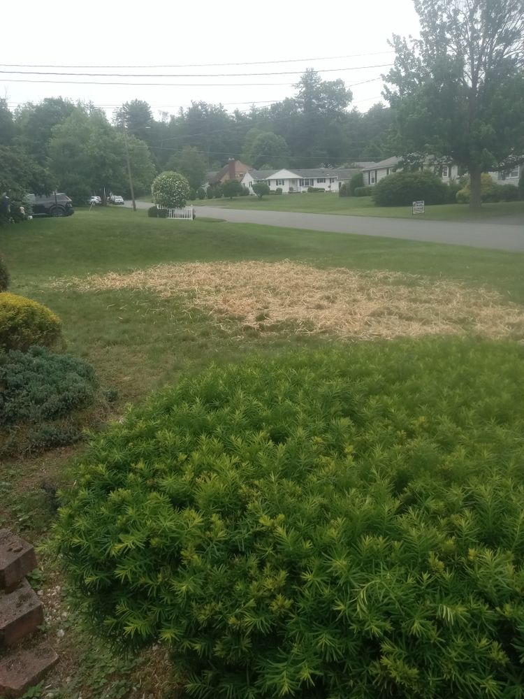 All Photos for K Brown's Property Maintenance in Pittsfield, MA