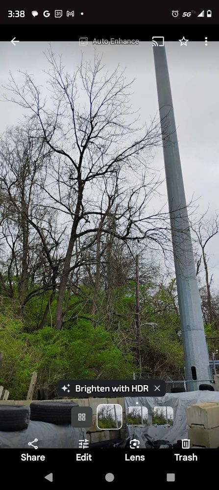 All Photos for Kingdom Tree Trimming and Removal LLC in Covington, KY