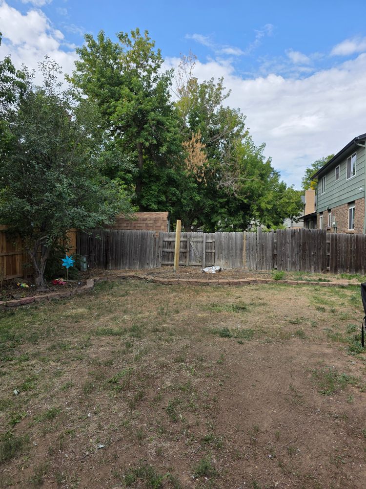 All Photos for Family Tree & Landscape LLC in Aurora, CO