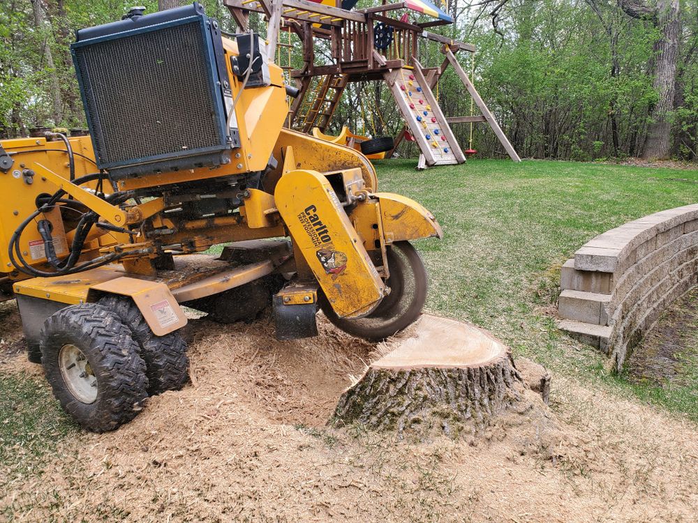 Stump Grinding for American Outdoor Services & Stump Grinding in Maple Grove, MN