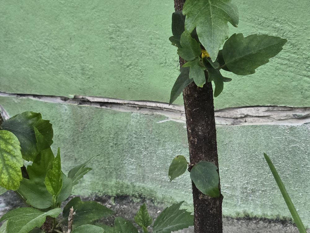 All Photos for Swaby's Handyman Services LLC in Florida City, FL