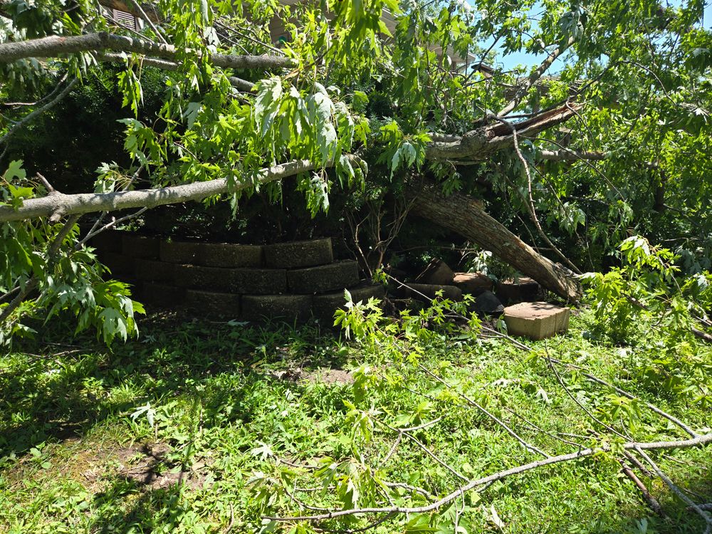 All Photos for Lawn Ranger Yard And Tree Service LLC in Ottumwa, IA