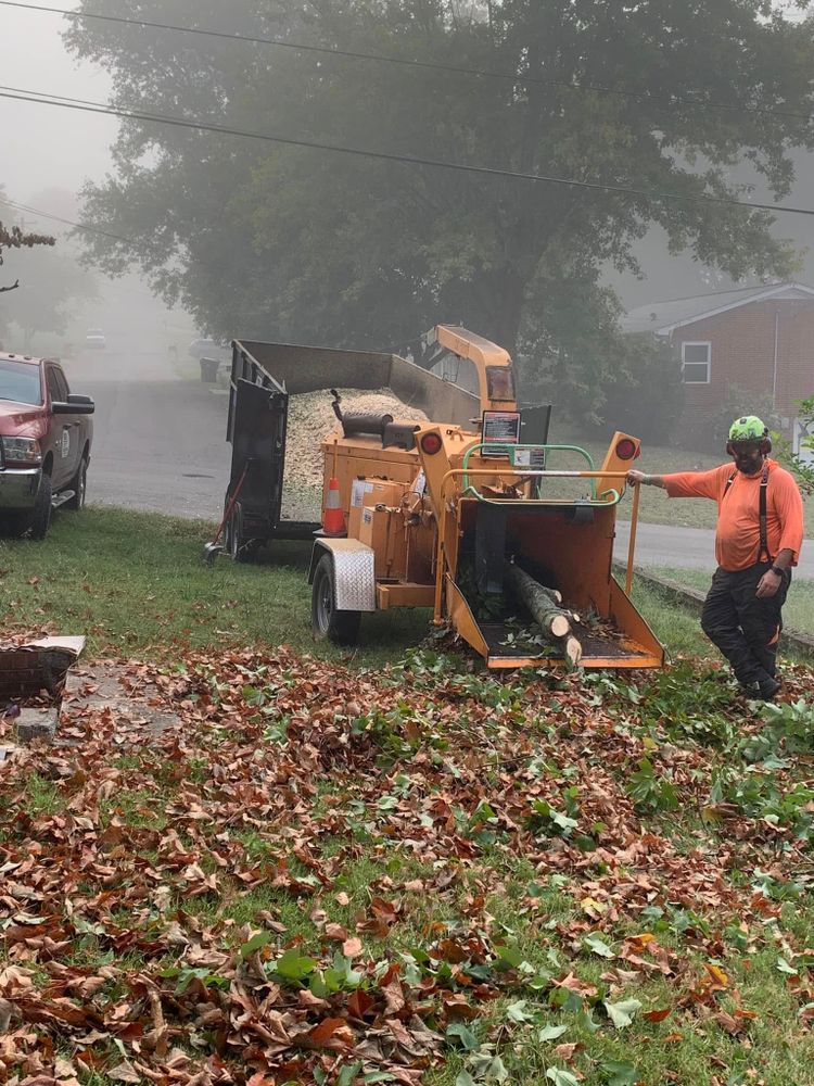 Discover the enhanced care your trees deserve with our comprehensive services, including pruning, removal, and health assessments. Transform your landscape today with our expert Tree Services team! for Grainger Tree Service in Blaine, TN