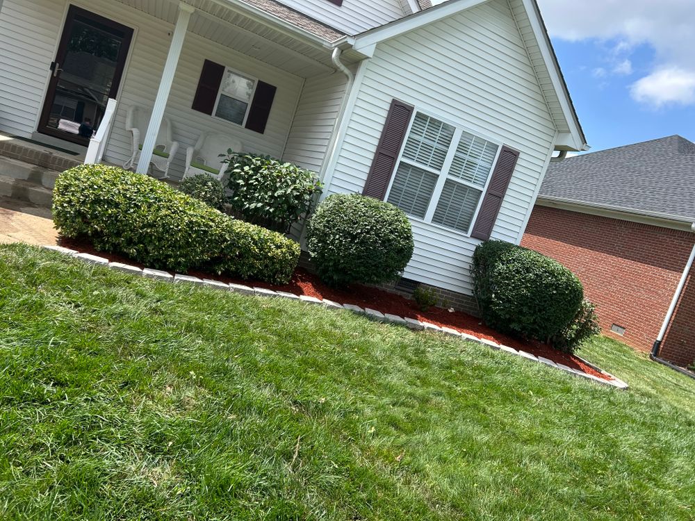 All Photos for Optimum Tree Service And Landscaping in Bowling Green, KY