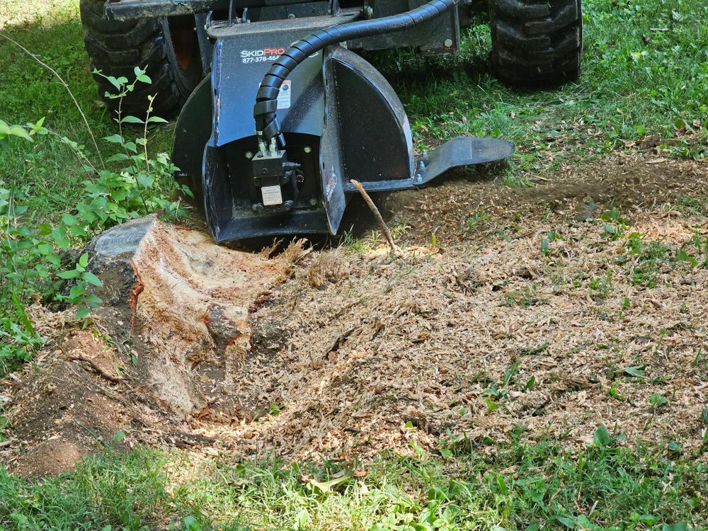 All Photos for I and R Stump Grinding in Thornville, OH