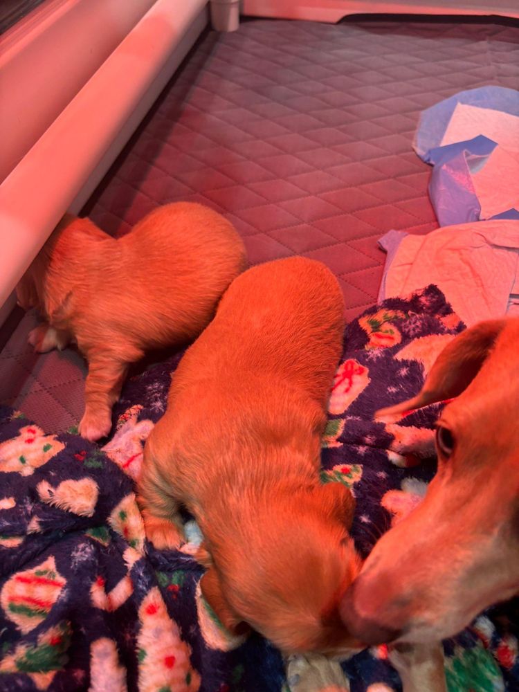 All Photos for Falls Property Services  in Idaho Falls, ID