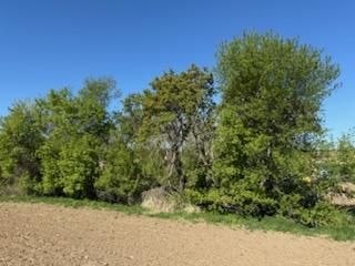 All Photos for Dittrich Excavating in Altura, MN