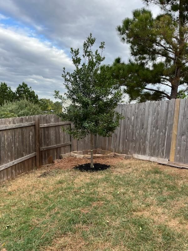 All Photos for Oviedo Land & Garden in Bastrop, TX