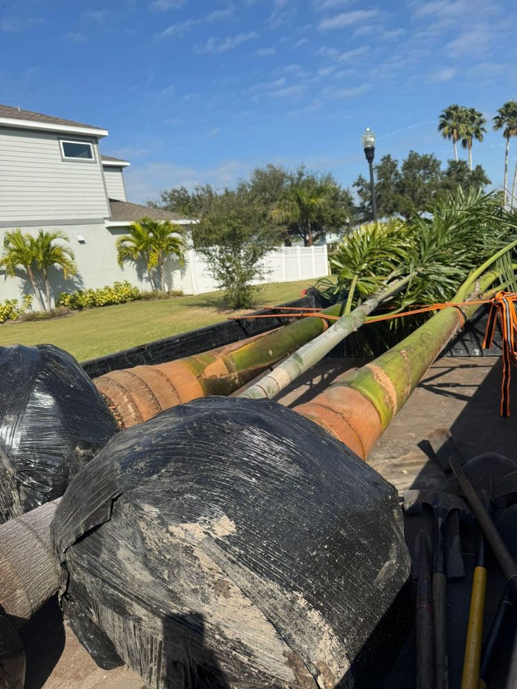 All Photos for Shoreside Property Services in Apollo Beach, FL