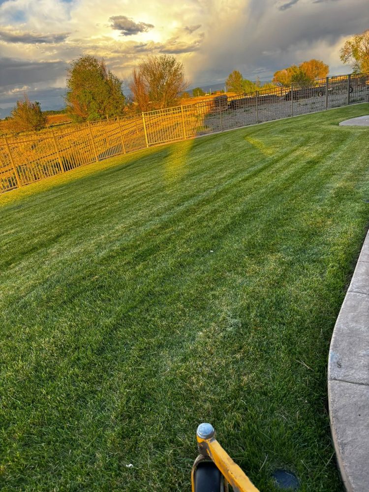 Enhance your yard's beauty with our comprehensive Lawn Maintenance service, offering regular mowing, fertilization, and weed control to ensure a lush and healthy landscape that complements your home's exterior. for Sale Property Services in Montrose, CO