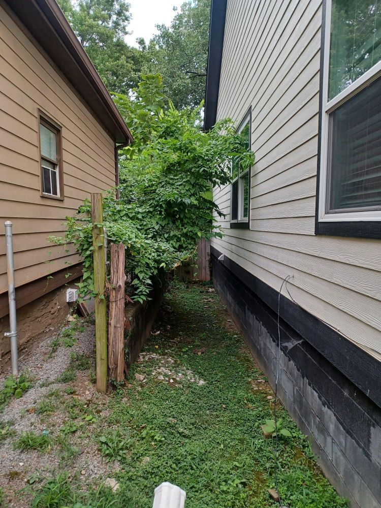 All Photos for Grass Management in Nashville, TN