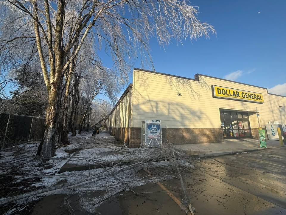 All Photos for Ross Family Tree Service LLC  in Hohenwald, TN