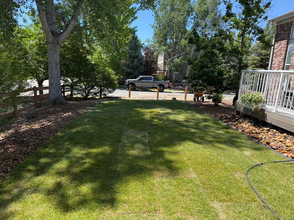 All Photos for Forever Green Turf Pros in Greeley, CO