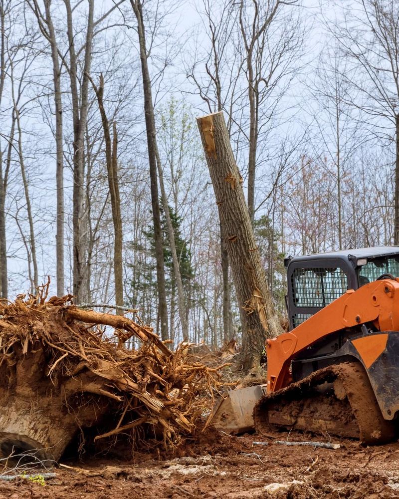 All Photos for Oakwood Tree Removal LLC in Oak Creek,  WI