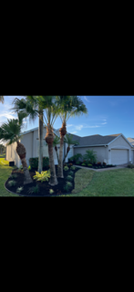 All Photos for Florida Pro Turf in Rockledge, FL
