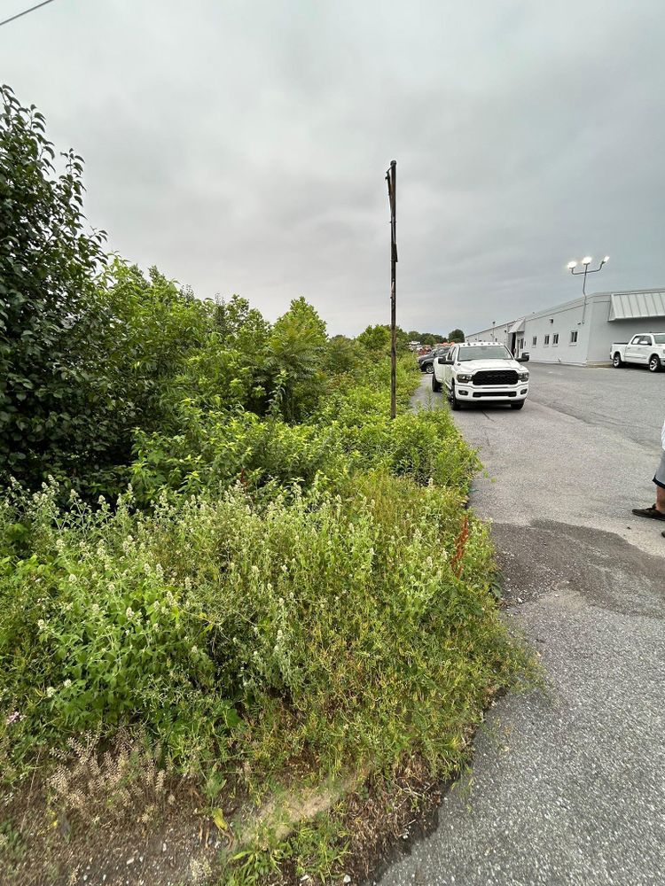 All Photos for Eric's Property Service in Conestoga, PA