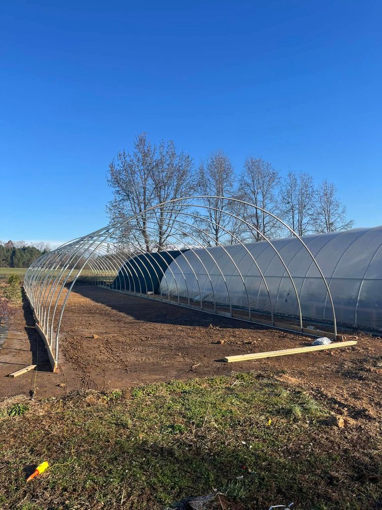 Enhance your garden with our expert Nursery service, offering a diverse selection of healthy plants and trees. Transform your outdoor space into a lush, vibrant oasis tailored to your preferences. for S&R Landscaping and Nursery in Charlotte, NC