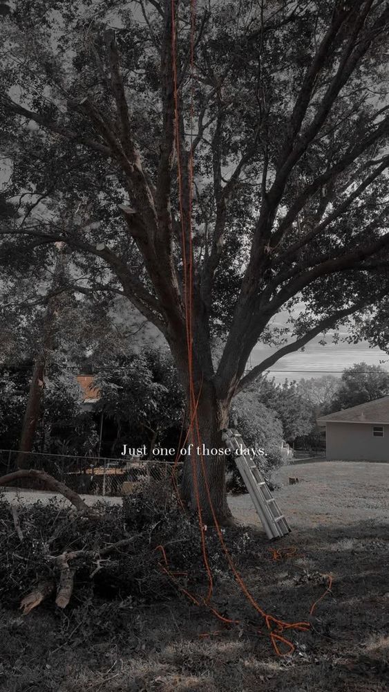 All Photos for Space Coast Property Maintenance and Management LLC in Brevard County, FL