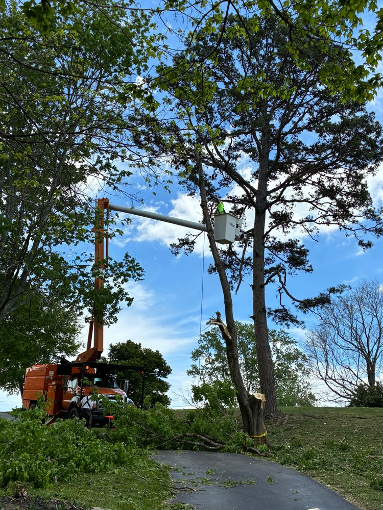 All Photos for Brocks Tree Service LLC in Rogersville, TN