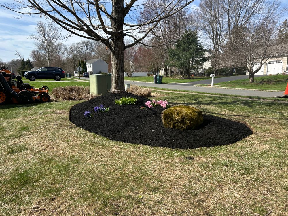 All Photos for Dibs Landscaping LLC in Cheshire, CT