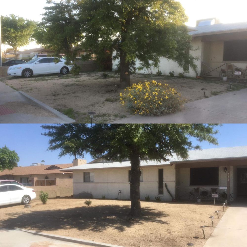 Landscaping for American Dream Landscape Company in Surprise, AZ