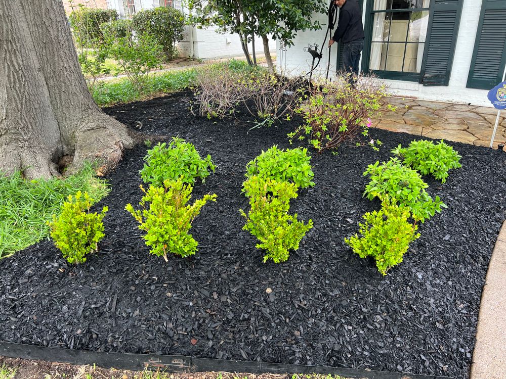 All Photos for Cortez Landscaping Services in Mesquite, TX