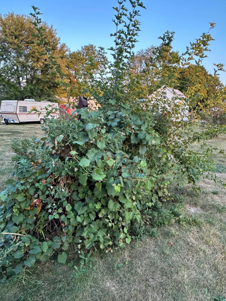 All Photos for OT Lawn and Landscaping LLC in Carey, OH