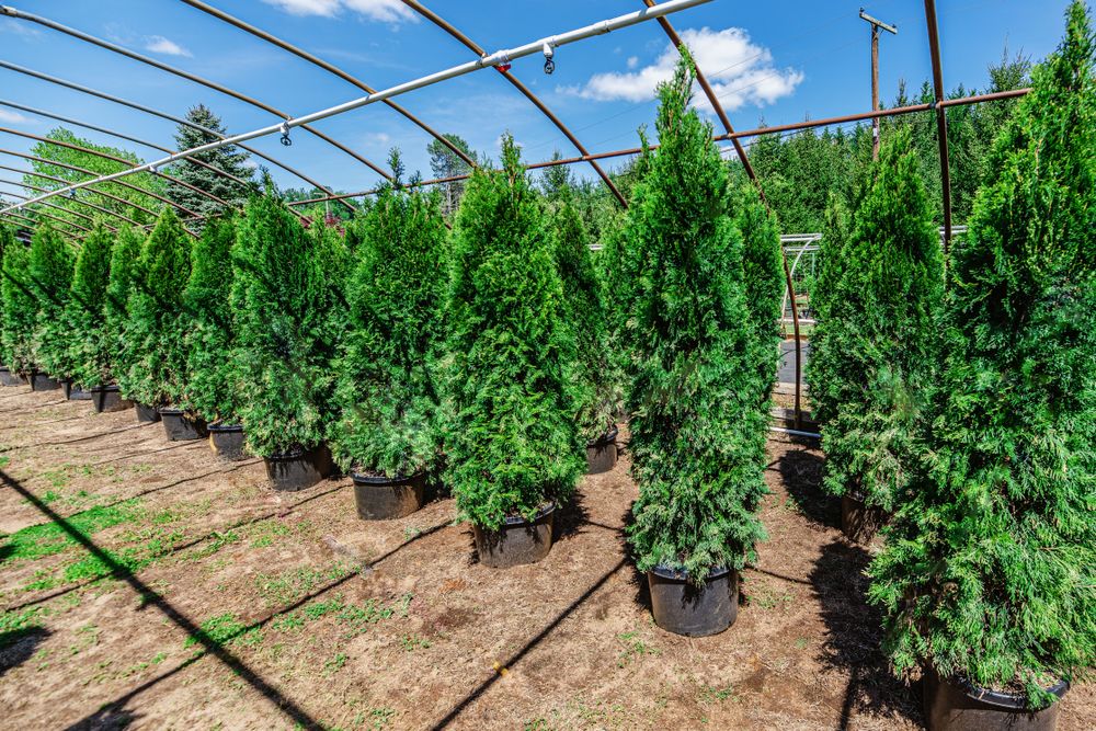 Premium Landscape Maintenance for  in Morristown, NJ