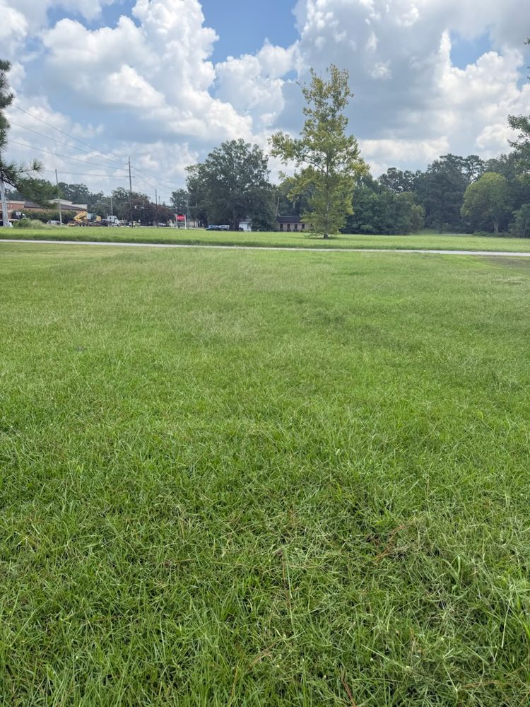 All Photos for Hawkins Tree Service & Land Management in Richmond Hill, GA