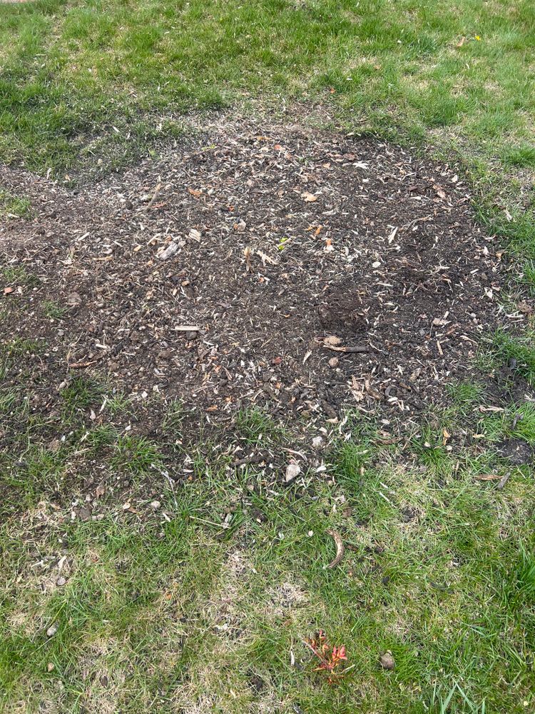 All Photos for Mark’s Mowing & Landscaping LLC  in Ashville, OH