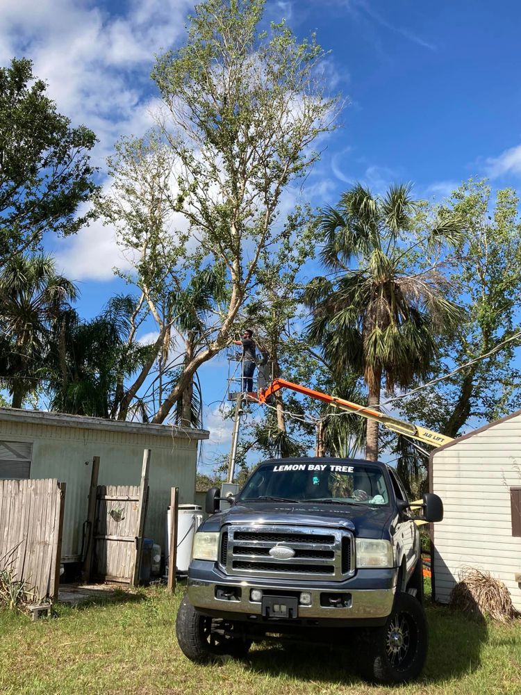 All Photos for Lemon Bay Tree Service  in Englewood, FL