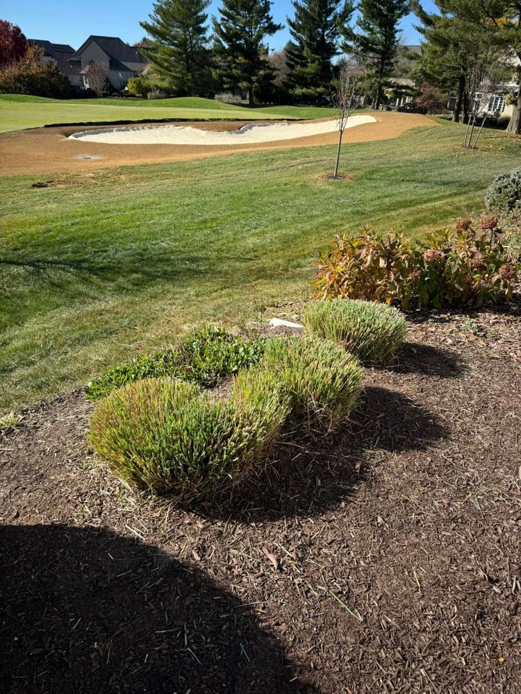 All Photos for Landscape & Lawn Care Pros in Temple, PA