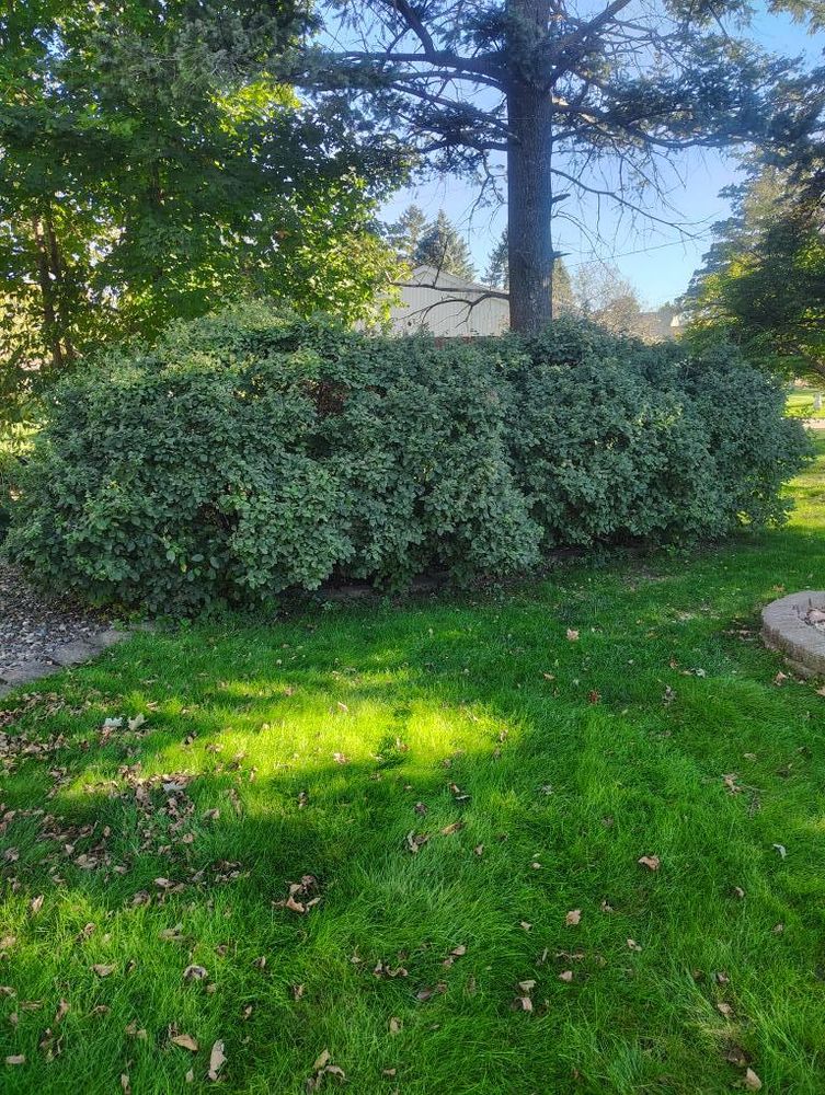 All Photos for Big River lawn Care services and snow LLC in Wausau, WI